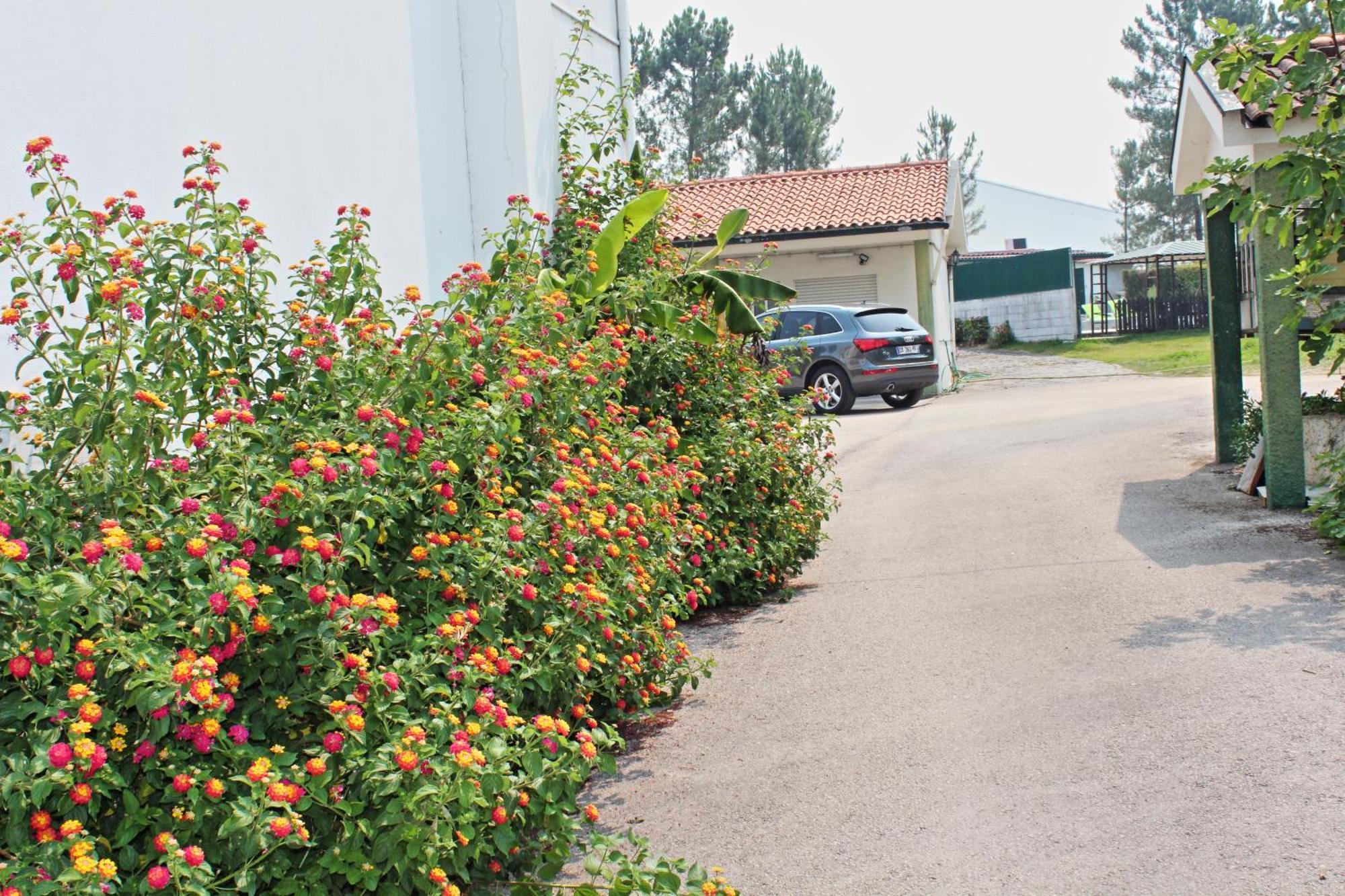 Residencial Pinho Verde Mealhada Exterior foto